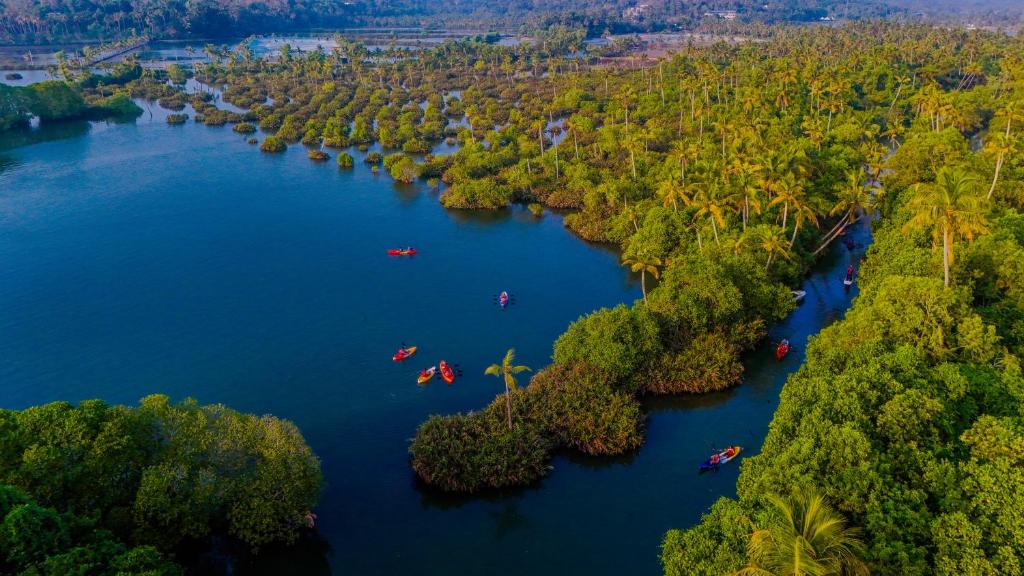 Ashtamudi lake Kollam backwaters